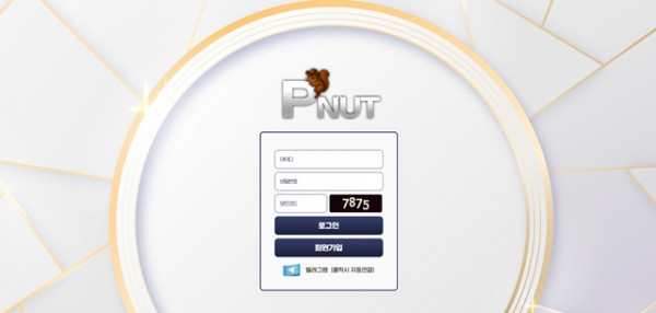 펀트 먹튀 확정